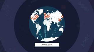 IMPC Overview
