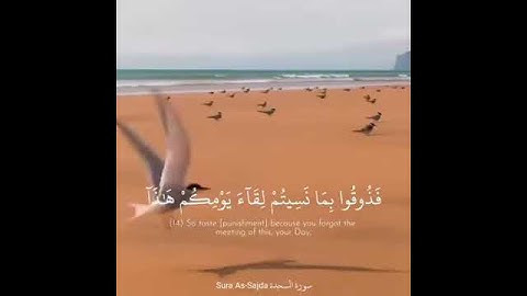 القارئ عبدالرحمن مسعد || ولو شئنا لاتينا كل نفس هداها || سورة السجدة