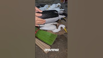 Cò trắng xốp cứng, cò trắng xốp dẻo, keo, cò mã, cò bợ, vịt trời, nan tre, nan cáp quang #cò #vạc
