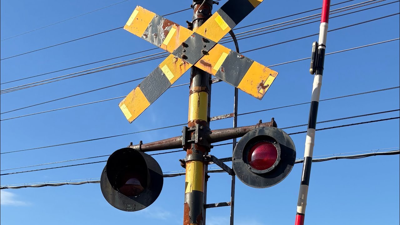 福井鉄道　2種類の電球警報灯がある踏切
