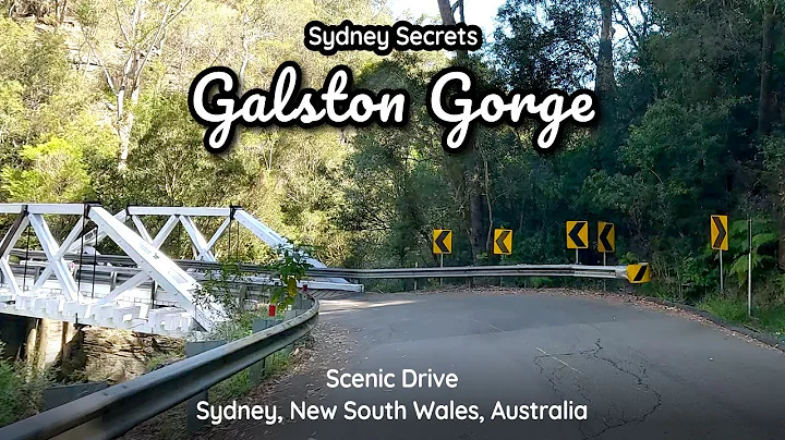 Sydney Secrets: Galston Gorge, driving Hornsby Heights to Galston via Galston Road