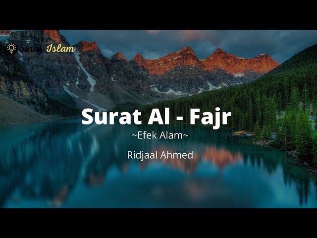 Bacaan Al Quran Merdu Surat Al Fajr dan Efek Alam| Ridjaal Ahmed dari Mozambique Afrika class=