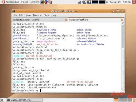 Shell Basics 13