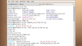 Shell Basics 13