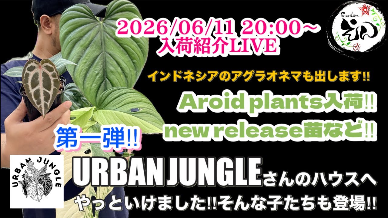 観葉植物】2026/06/11 URBAN JUNGLEさん特集！Garden えん - YouTube