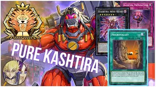 SHUT DOWN The Meta With PURE KASHTIRA! Master Rank Replays + Decklist (Yu-Gi-Oh! Master Duel)