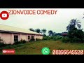 Zionvoice comedy