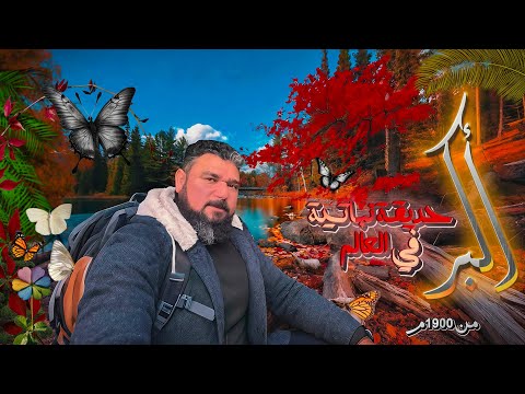 أكبر حديقة نباتية في العالم محمية الفراشات النادرة ومتحف النباتات التاريخية فرانكفورت