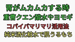 こんな時に重曹クエン酸水を飲む！よもぎ茶を飲む！コパイバマリマリと純米酒化粧水でもちもちうるうるでヤバすぎる！