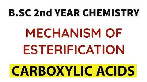 Mechanism of Esterification | Carboxylic Acids | B.SC 2nd Year Chemistry
