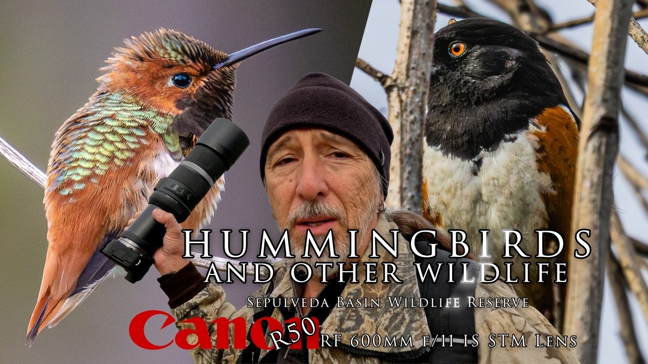 Hummingbirds and wildlife - Another AMAZING photo walk - Canon R50 and the 600 F11! Not perfect!🤩