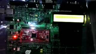 LPC2148 Led Blink