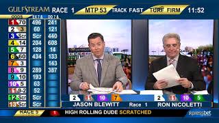 Gulfstream Park August 17, 2019 Handicapping Show