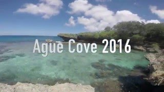 AgueCove2016