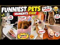 9 Minutes of Pure Pet Chaos 😂🐶🐱
