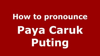 How Do You Say Paya Caruk Puting In Malaysia Malay? - Pronouncenames