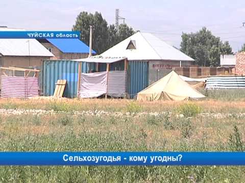 Сельхозугодья - кому угодны?