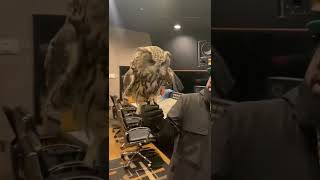 Big Boi Brings Owl To Studio 🦉
