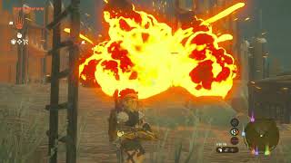 Celebrity TotK059 What's Around LL Pt2: Hyrule Field Skyview Tower - Bring Peace To Hyrule, Koroks, Treasure Net Worth