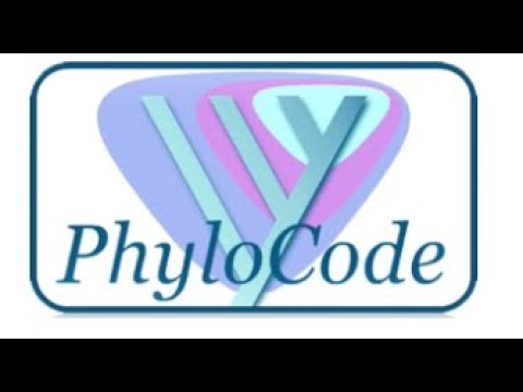 A PhyloCode alkalmazása a korábban fajként ismert szinten, Mosses példákkal.