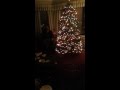 Rc helicopter breaks 80 year old tree topper