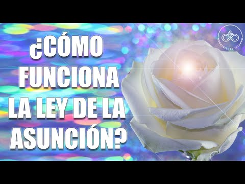 ¿Qué es la