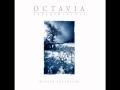 Octavia sperati  without air