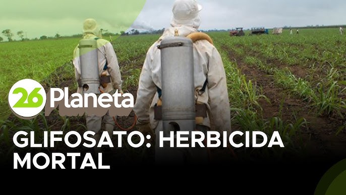 Nuevas pistas sobre la toxicidad del herbicida Glifosato