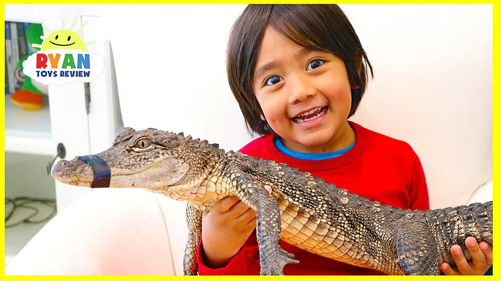 Surprise Ryan with Pet Crocodile! - DayDayNews