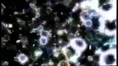 M THEORY & STRING THEORY Full Documentary 360p