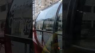 Voltinha de Ônibus no Bigorrilho | Padre Anchieta #curitiba #renataemcuritiba