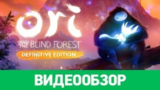 Обзор игры Ori and the Blind Forest: Definitive Edition