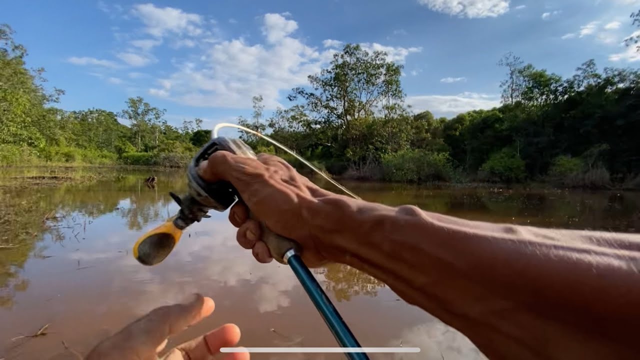 Casting Haruan Gabus Di spot tersembunyi di Kota Palangkaraya