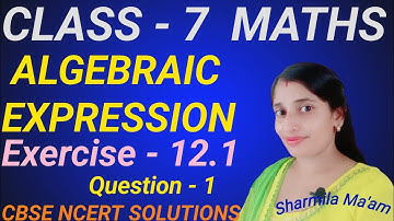 NCERT  solutions class 7 Maths  Algebraic Expression | Exercise 12.1 Question-1