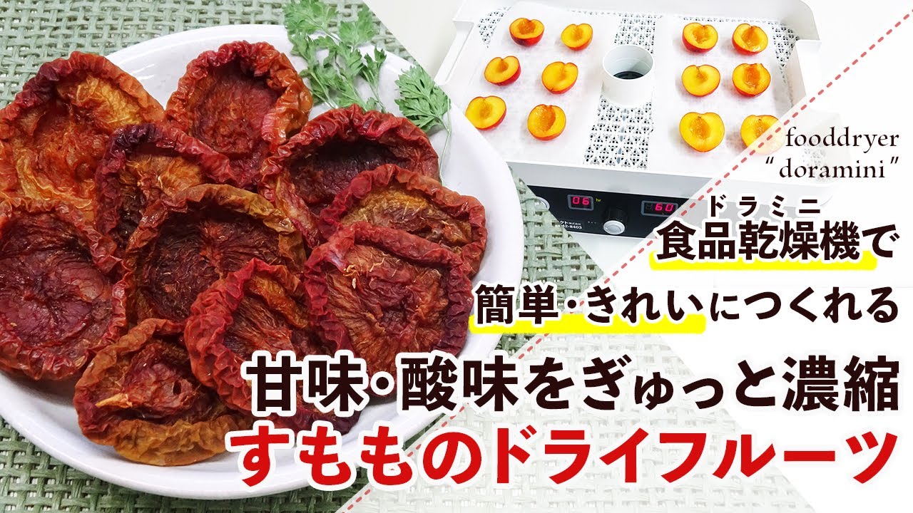 乾燥時間別】すもものドライフルーツの作り方【フードドライヤー 