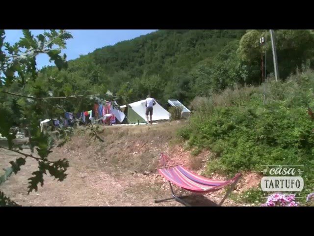 Video Casa Tartufo