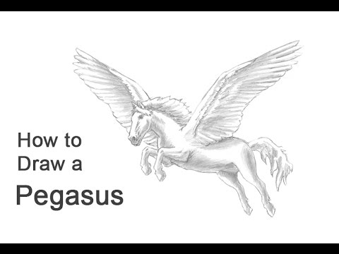 Video: How To Draw A Pegasus With A Pencil