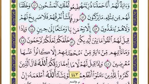 الصفحة ( 443 ) من القرآن الكريم سورة يس _ مصحف التقسيم الموضوعي _
