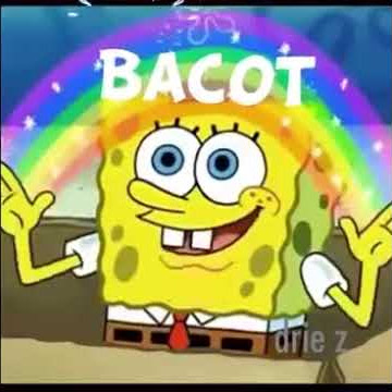 Story WA - Spongebob