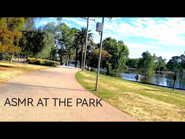 Public ASMR at the park - camera tapping & nature sounds