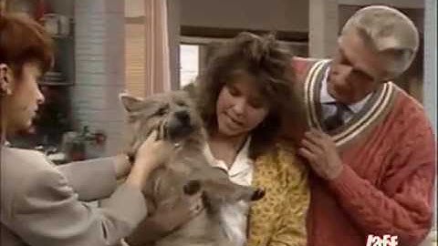 Empty Nest Season 2 Episode 23 Did You Ever See a Dream Dying