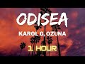 Karol G, Ozuna - Odisea (1 HOUR LOOP)