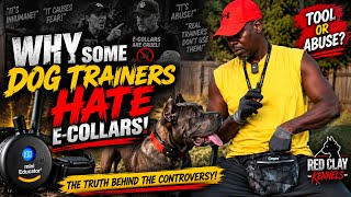 Why Some Dog Trainers HATE E-Collars — The Truth Behind the Controversy!
