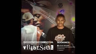 Tribesoul - Selektive Sessions 014