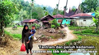 Pesona pedesaan idaman orang kota di sawah bukik Solok Sumatera Barat