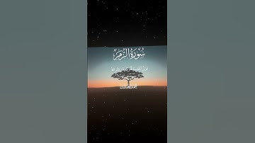 سورة الزمر|22|القارئ:#محمد_اللحيدان #قران #quran #قران_كريم #تلاوة #تلاوة_هادئة #آية #تلاوة_خاشعة