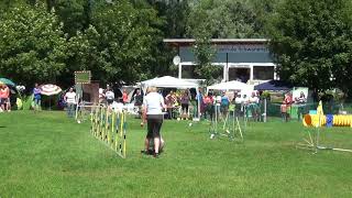 20180701 1 LM Schwanenstadt J OL Anna mit Divana