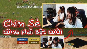 ĐẾN CHIM SẺ ĐI NẮNG CŨNG PHẢI TẠM DỪNG TRẬN ĐẤU ĐỂ CƯỜI TRƯỚC MÀN BÌNH LUẬN CỦA TOẠC