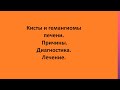 Кисты и гемангиомы печени. Причины. Диагностика. Лечение.