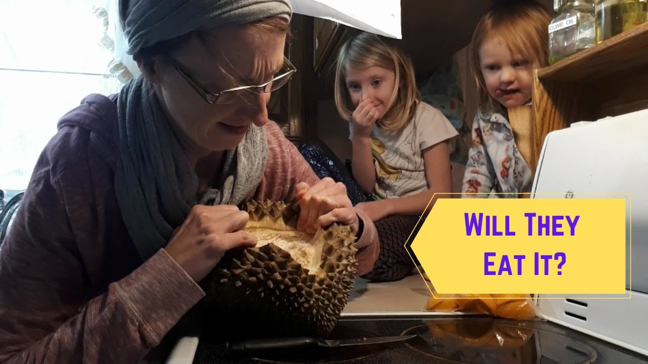 Unschool Day: When Unschoolers Shop for School Supplies...